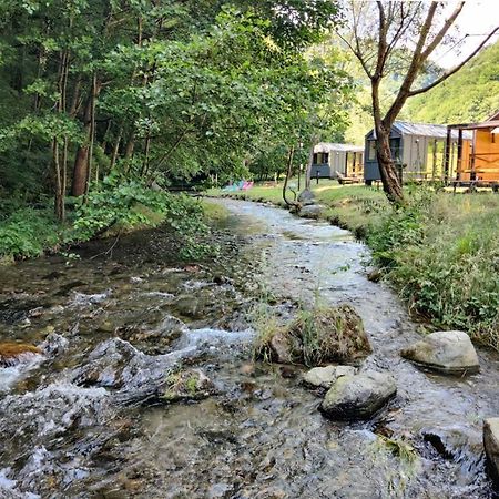 Transfagarasan River Retreat Arefu Exterior photo